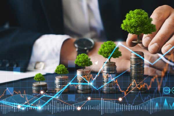 押注半导体！“六个核桃”三连板，养元饮品回应