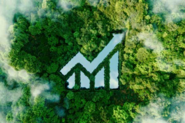 押注半导体！“六个核桃”三连板，养元饮品回应