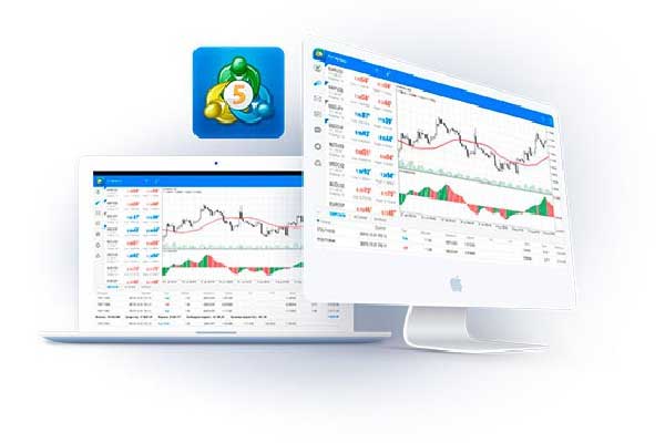 中邮基金陈晶晶：投资者的综合体验是资金能否中长期沉淀的关键